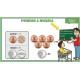MONEY 1: GOOGLE SLIDES COIN LESSONS & ACTIVITIES: Penny, Nickel, Dime, Quarter